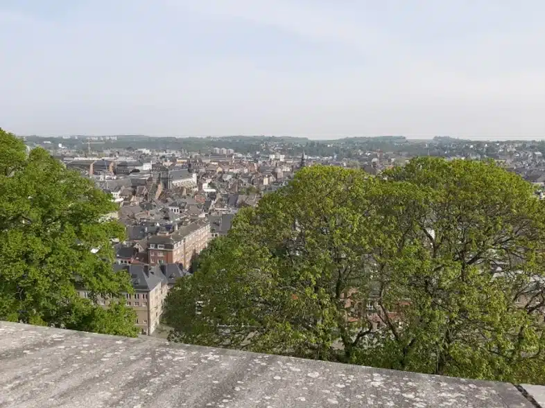 Ouverture internationale 687 52e92f_abc6dcdd902547f2a86aa1951ccd6539~mv2