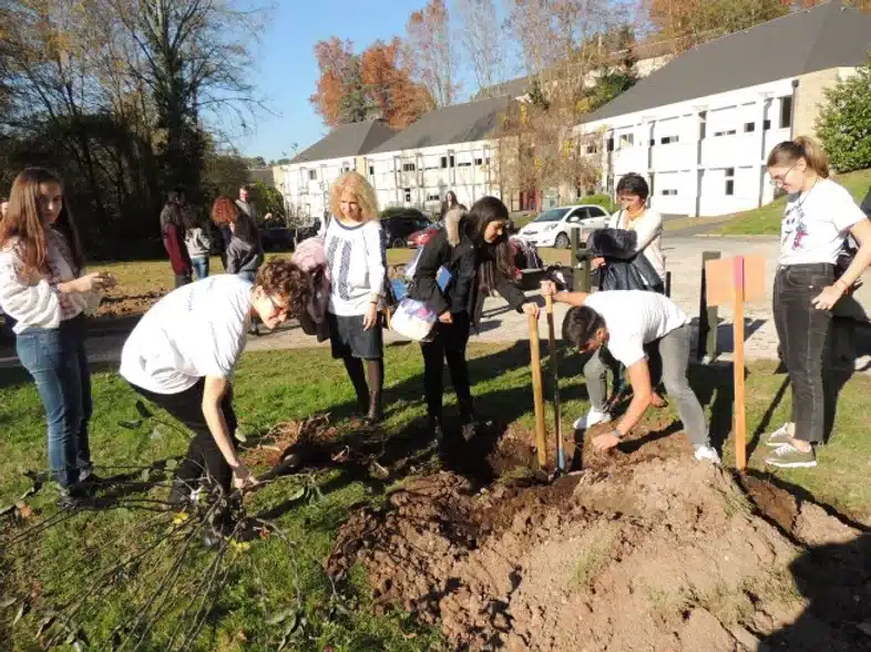 Ouverture internationale 1111 52e92f_b15352f37aa34838a1ed99ffc48c1ecc~mv2