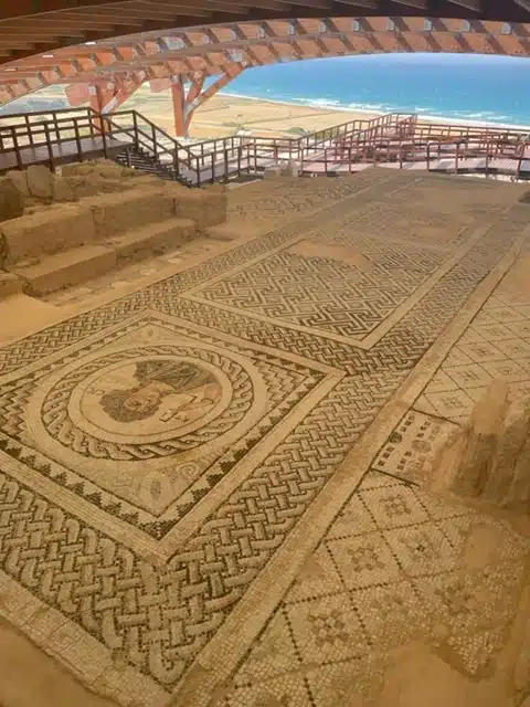 Ouverture internationale 230 52e92f_b966110e84f64cb18a3dde78882c96ba~mv2