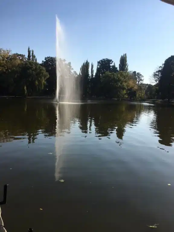 Ouverture internationale 918 52e92f_b9f0ffa3cd1b4bcea6a23eee34dcdf43~mv2