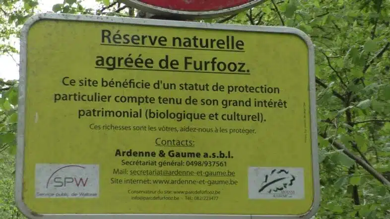 Ouverture internationale 522 52e92f_bacfecd3dd55424a927c4acf33d9ae41~mv2