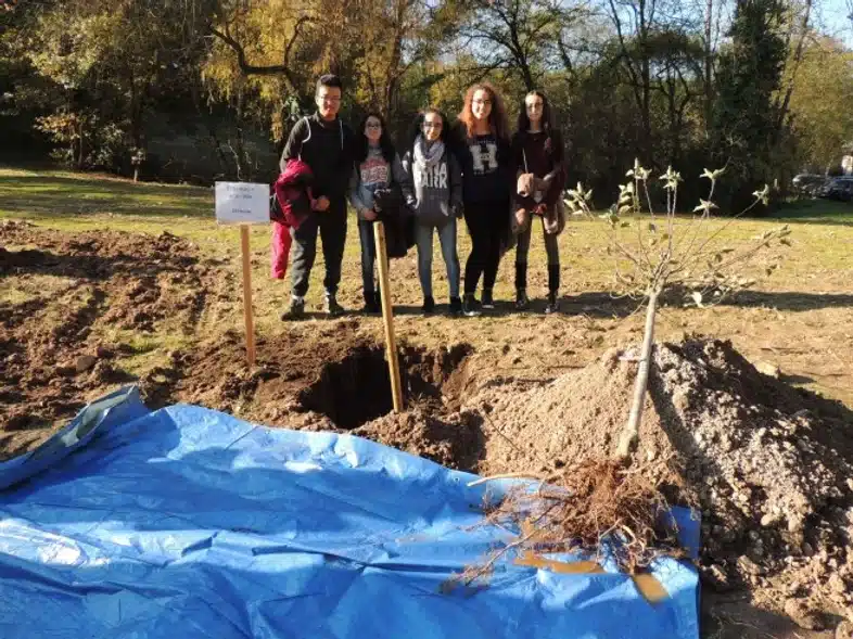 Ouverture internationale 1098 52e92f_bc18a1e285924616a883b67185862d2c~mv2