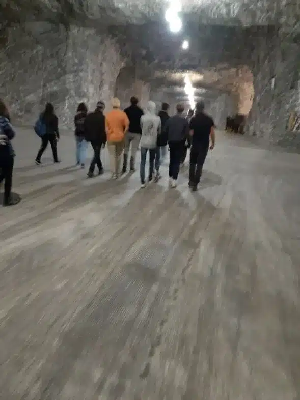 Ouverture internationale 874 52e92f_bd962af0842d4c6086511ae2e0a4f0a6~mv2