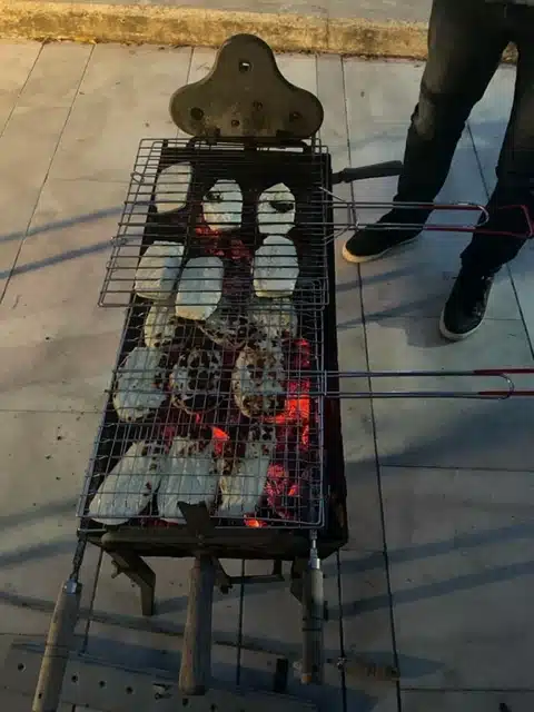 Ouverture internationale 240 52e92f_c2ac0b5ae8754ed28535cbd0d496b76f~mv2