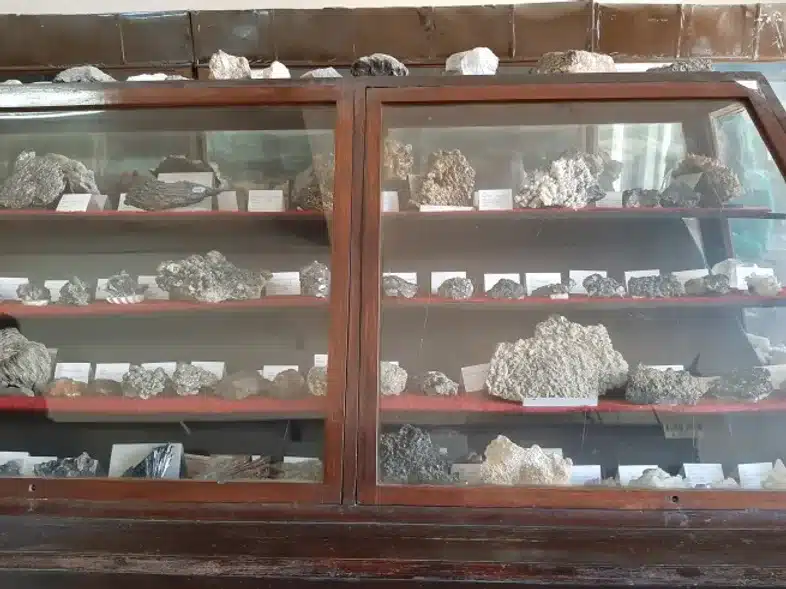 Ouverture internationale 750 52e92f_c2d77add83444fd0baf7abad94212ce8~mv2