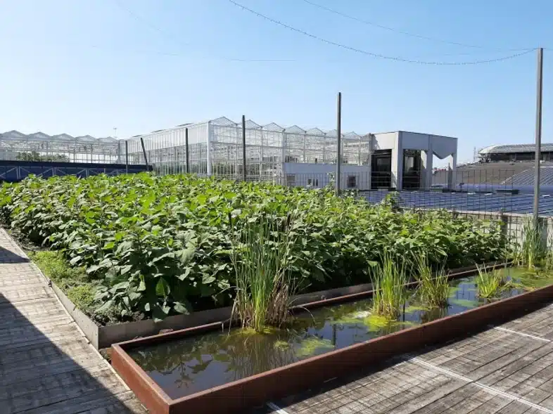 Ouverture internationale 319 52e92f_c2e129a5614743f89b64333d9c5d1079~mv2