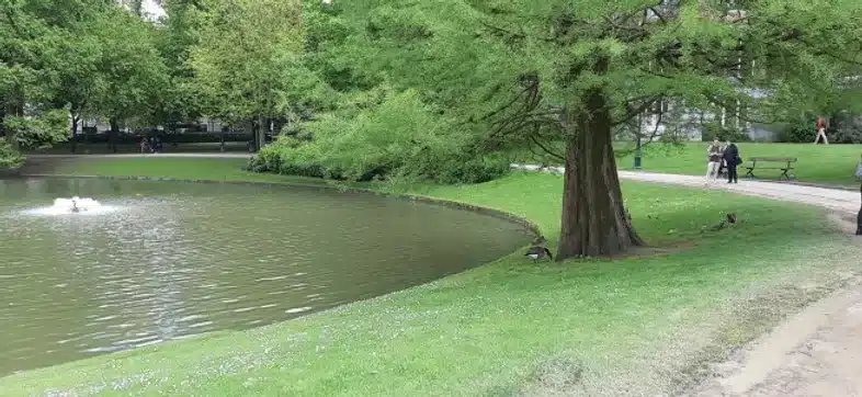 Ouverture internationale 432 52e92f_cc642b0c906e40a597d4a0a092ad4667~mv2