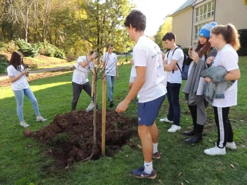 Ouverture internationale 1077 52e92f_d682ad5af5144ed29efe0ca310860221~mv2