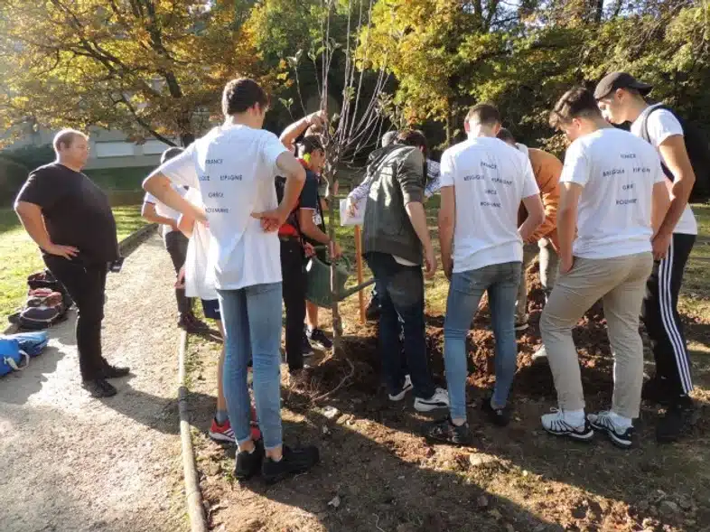 Ouverture internationale 1079 52e92f_d7001827208b4196a645cb73e1760d7e~mv2