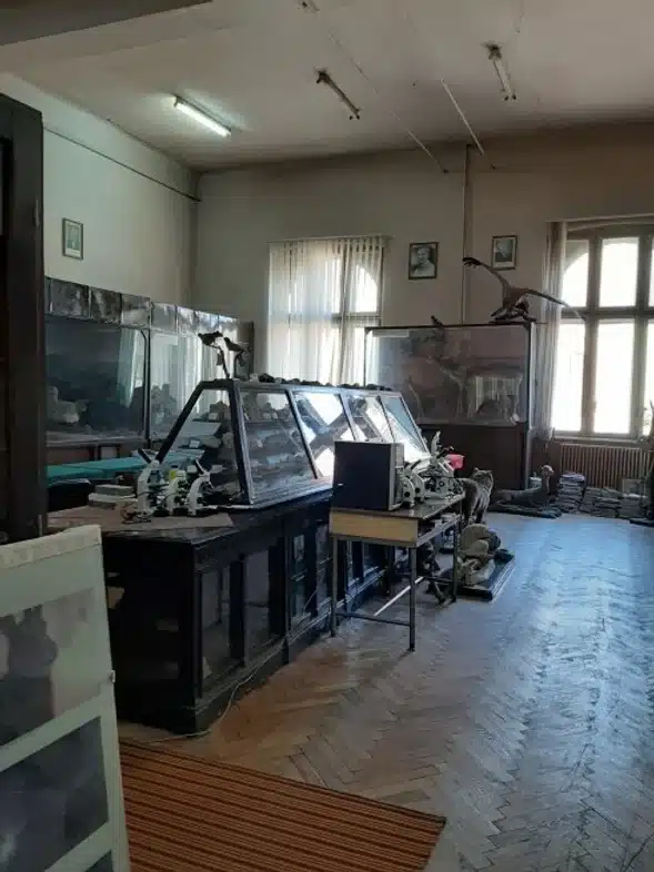 Ouverture internationale 744 52e92f_dbc8c742108c4570b4ec4322c304110e~mv2