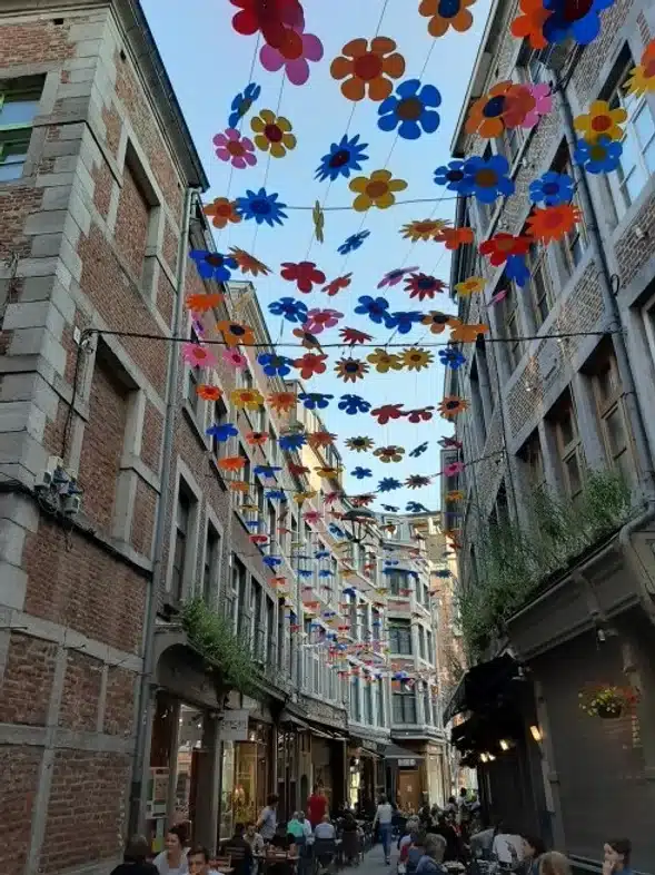 Ouverture internationale 310 52e92f_e41b80ee38b74c80bcbaf04b574cdc68~mv2