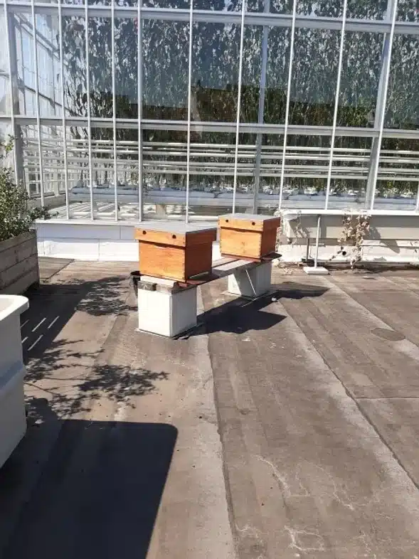 Ouverture internationale 324 52e92f_eadf61cf05644b93b9d756ebab5b8b21~mv2