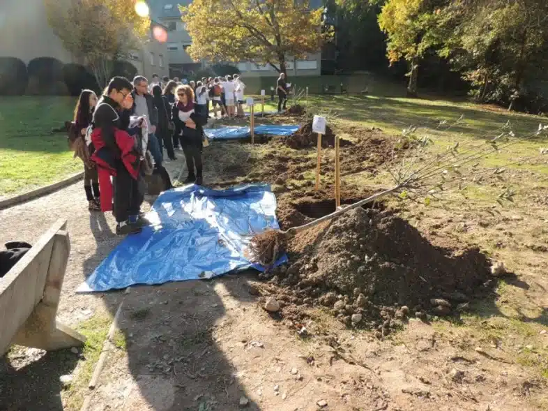 Ouverture internationale 1095 52e92f_edb133a469334d91acb3e2b03c86963a~mv2