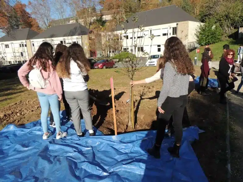 Ouverture internationale 1110 52e92f_f48534f12a104d018f3cbe85c6d90b64~mv2