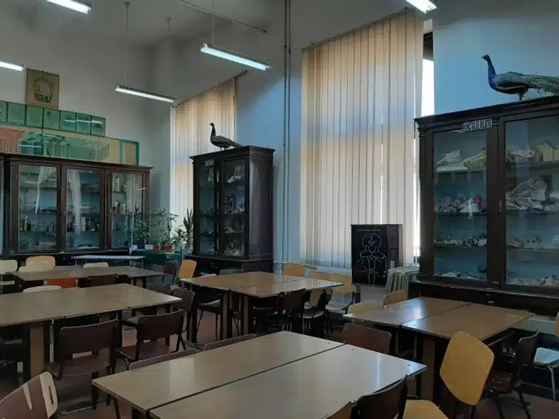 Ouverture internationale 747 52e92f_f50f31d66cf74631b172c9d94d82f18e~mv2