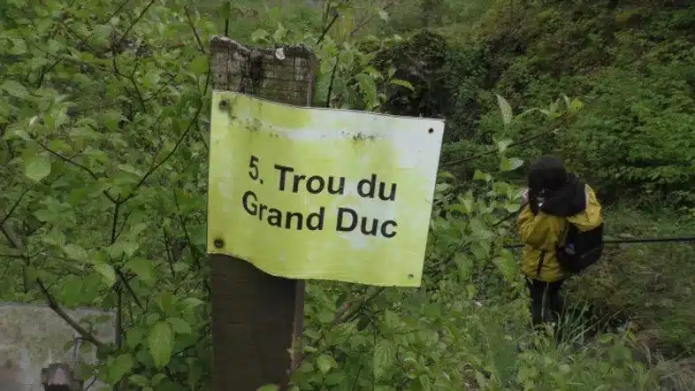 Ouverture internationale 519 52e92f_f69df1bd4b7f4f058c793b492c10dcde~mv2