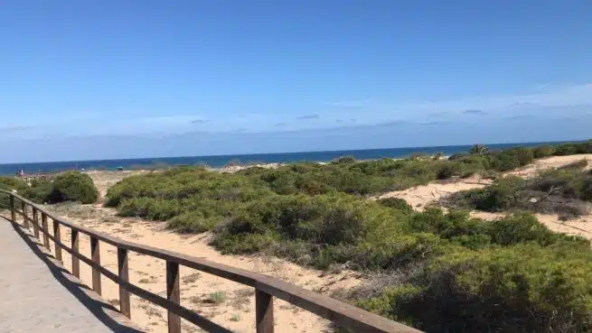 Ouverture internationale 133 52e92f_f9a3d0d903c94127b7e3ba237962e484~mv2