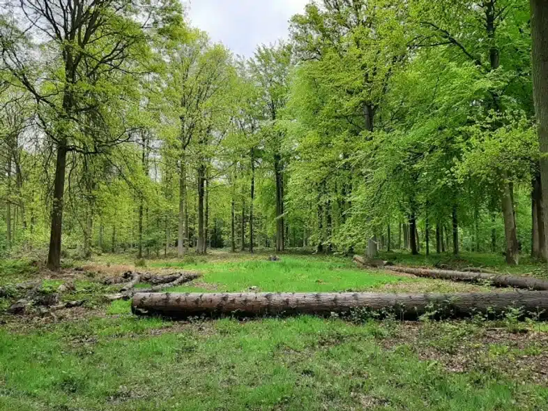 Ouverture internationale 578 52e92f_fe9a75d62e3841478d9ec070279ca37f~mv2