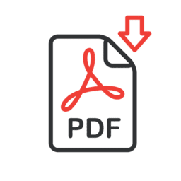 PDF Icon big 256 1