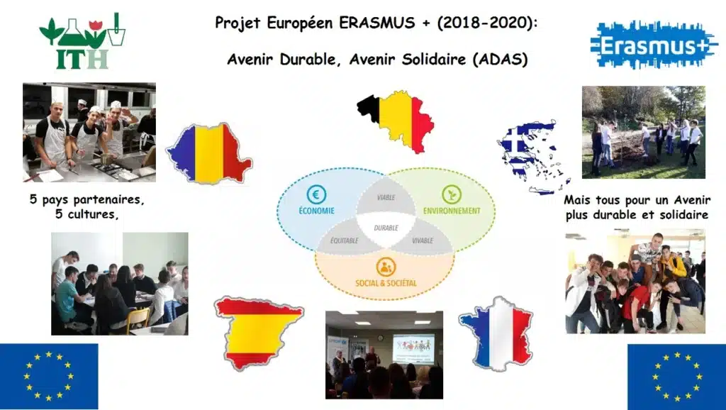 Panneau ERASMUS du 6 decembre 2018