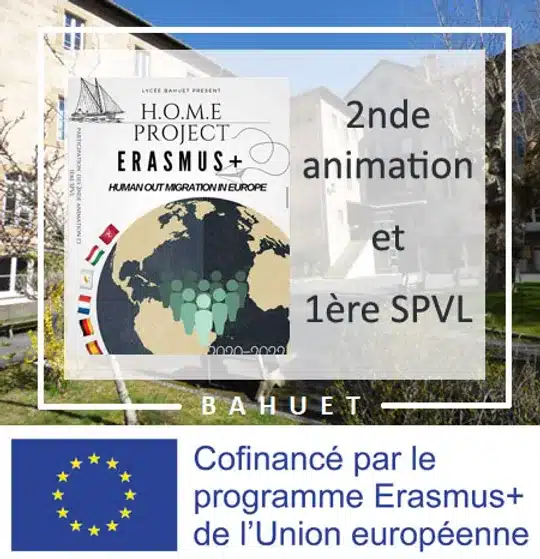 Vignette HOME PROJECT